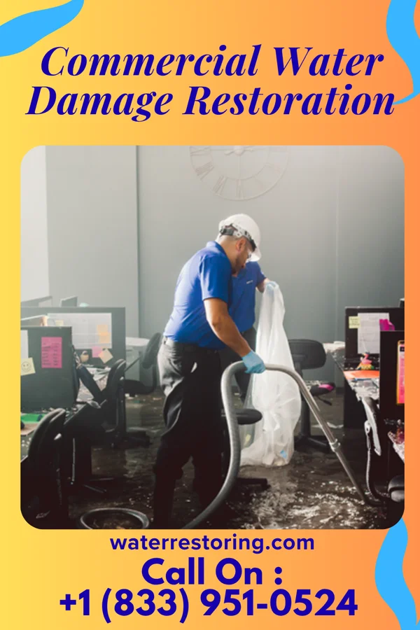 Commercial Water Damage Restoration in Laguna Seca, TX